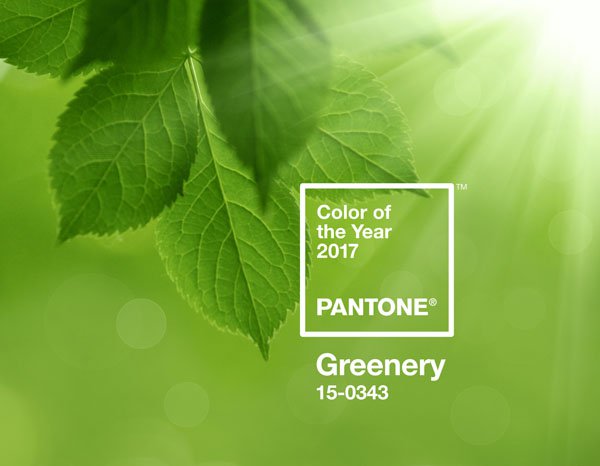 Pantone Colour for 2017 is…